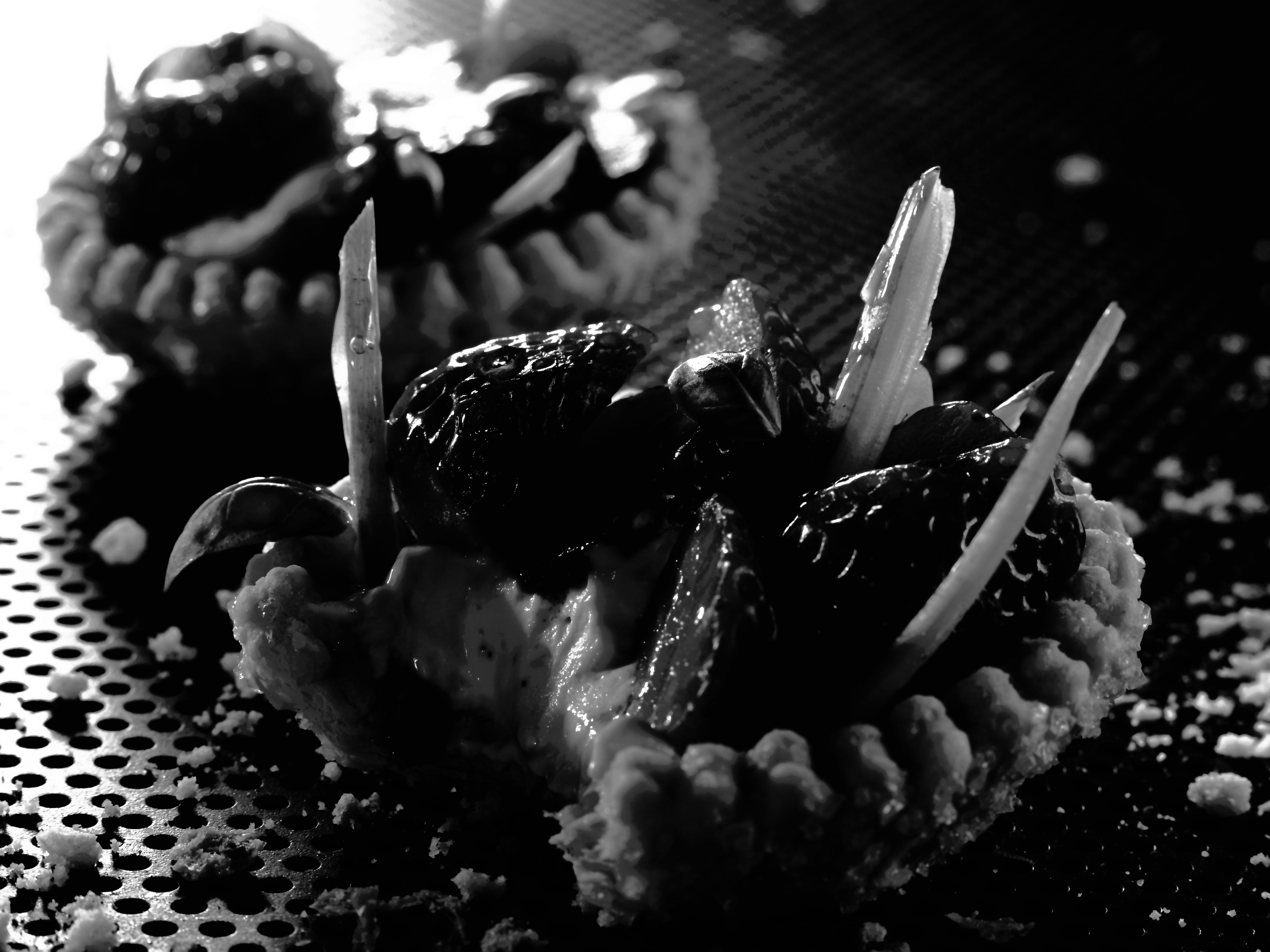 A_4571204
